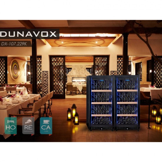 Dunavox DX-107.229K (повр. упак.)