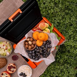 Alpicool CL30 (12/24)